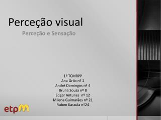 Perceção visual