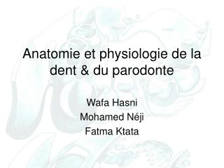 Anatomie et physiologie de la dent &amp; du parodonte