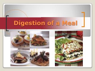 Digestion of a Meal