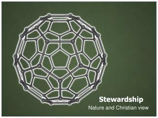 Stewardship