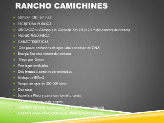 RANCHO CAMICHINES