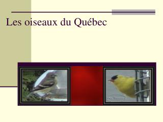 Les oiseaux du Québec