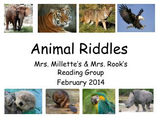 Animal Riddles