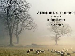 À l’école de Dieu : apprendre à suivre le Bon Berger (1ère partie)