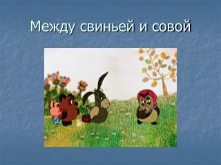 Между свиньей и совой