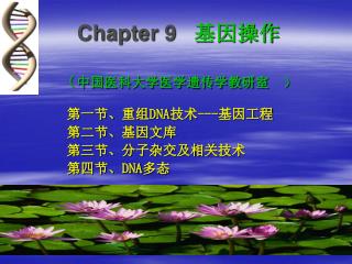 Chapter 9 基因操作 （ 中国医科大学医学遗传学教研室 ）