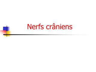 Nerfs crâniens