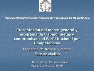 Programa de trabajo y metas: Fase de análisis Dr. Luis Felipe Abreu Hernández