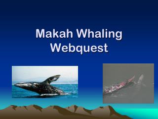 Makah Whaling Webquest