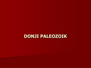 DONJI PALEOZOIK