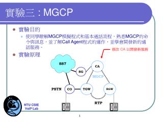 實驗三 : MGCP