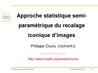 Approche statistique semi-paramétrique du recalage iconique d’images