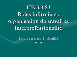 UE 3.3 S3 Rôles infirmiers , organisation du travail et interprofessionalité