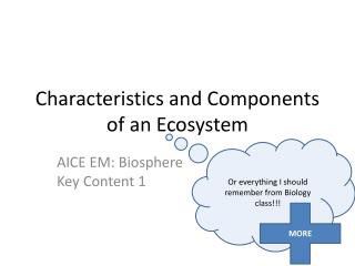 Characteristics and Components of an Ecosystem