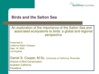 Birds and the Salton Sea