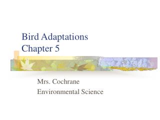 Bird Adaptations Chapter 5