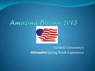 Amazing Breaks 2013