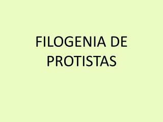 FILOGENIA DE PROTISTAS