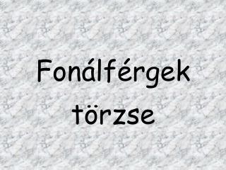 Fonálférgek