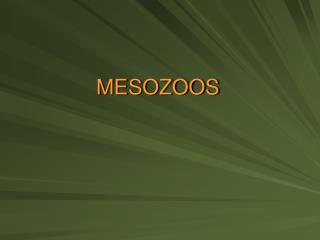 MESOZOOS