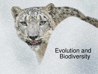 Evolution and Biodiversity