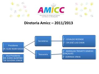 Diretoria Amicc – 2011/2013