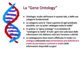 La “Gene Ontology”