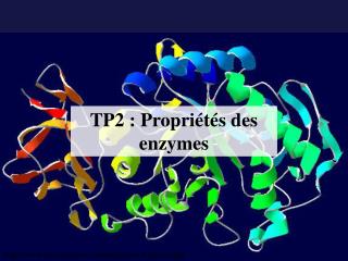 TP2 : Propriétés des enzymes