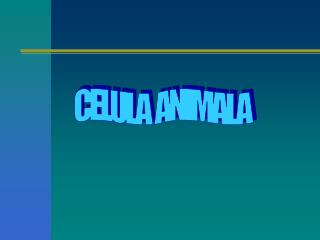 CELULA ANIMALA