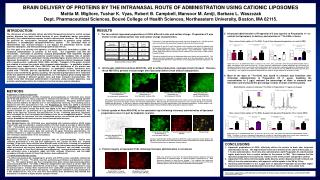 BRAIN DELIVERY OF PROTEINS BY THE INTRANASAL ROUTE OF ADMINISTRATION USING CATIONIC LIPOSOMES