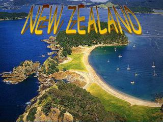 NEW ZEALAND