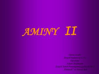 AMINY II