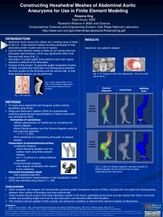 METHODS CT scans were segmented and triangular surface meshes generated using Amira.