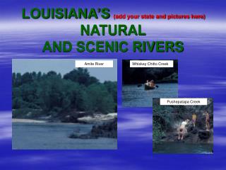 LOUISIANA’S (add your state and pictures here) NATURAL AND SCENIC RIVERS