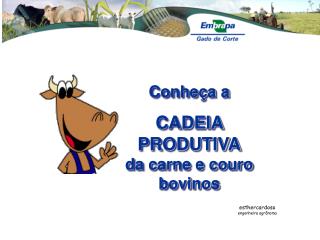 Conheça a CADEIA PRODUTIVA da carne e couro bovinos