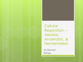 Cellular Respiration – Aerobic, Anaerobic, &amp; Fermentation
