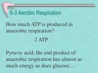 6-3 Aerobic Respiration