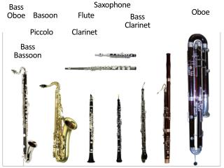 PPT - Bass Clarinet PowerPoint Presentation, free download - ID:5459143