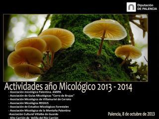 Actividades año Micológico 2013 - 2014