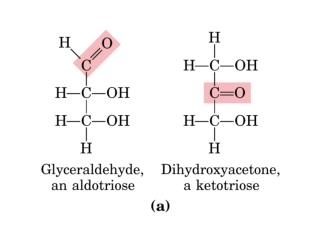 Açucares são redutores (o grupo aldeido pode ser oxidado por Cu 2+ ou Ag +