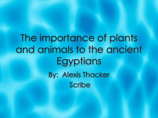 The importance of plants and animals to the ancient Egyptians