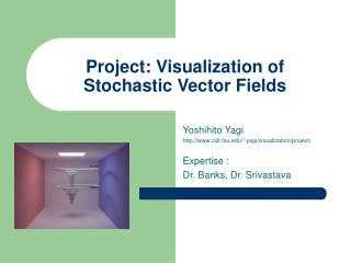 Project: Visualization of Stochastic Vector Fields