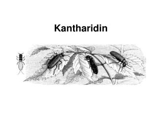 Kantharidin