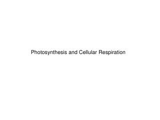 Photosynthesis and Cellular Respiration