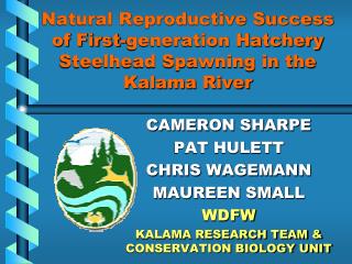 Natural Reproductive Success of First-generation Hatchery Steelhead Spawning in the Kalama River