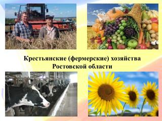 Крестьянские (фермерские) хозяйства Ростовской области