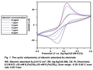 Fig 1. The cyclic voltammetry of albumin adsorbed Au electrode