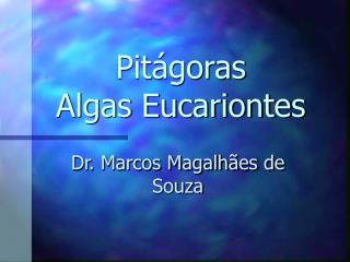 Pitágoras Algas Eucariontes