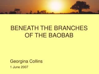 BENEATH THE BRANCHES OF THE BAOBAB