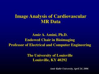 Image Analysis of Cardiovascular MR Data